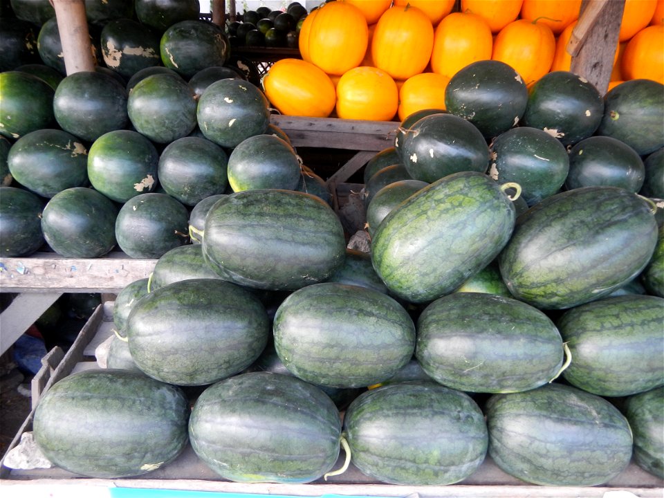 Citrullus lanatus Watermelons and cantaloupes or sweet melong in Barangay Santo Domingo, Mexico, Pampanga connected by the Rotonda Santo Domingo, Mexico, Pampanga Agricultural Monument, to Santo Domin