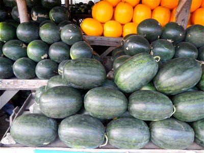 Citrullus lanatus Watermelons and cantaloupes or sweet melong in Barangay Santo Domingo, Mexico, Pampanga connected by the Rotonda Santo Domingo, Mexico, Pampanga Agricultural Monument, to Santo Domin