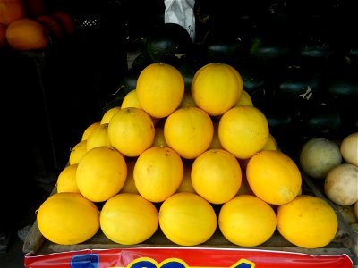 Citrullus lanatus Watermelons and cantaloupes or sweet melong in Barangay Santo Domingo, Mexico, Pampanga connected by the Rotonda Santo Domingo, Mexico, Pampanga Agricultural Monument, to Santo Domin