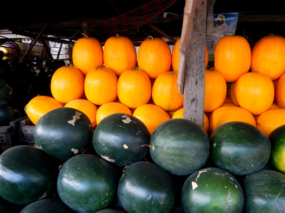 Citrullus lanatus Watermelons and cantaloupes or sweet melong in Barangay Santo Domingo, Mexico, Pampanga connected by the Rotonda Santo Domingo, Mexico, Pampanga Agricultural Monument, to Santo Domin