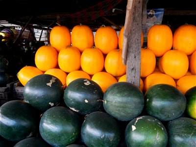 Citrullus lanatus Watermelons and cantaloupes or sweet melong in Barangay Santo Domingo, Mexico, Pampanga connected by the Rotonda Santo Domingo, Mexico, Pampanga Agricultural Monument, to Santo Domin