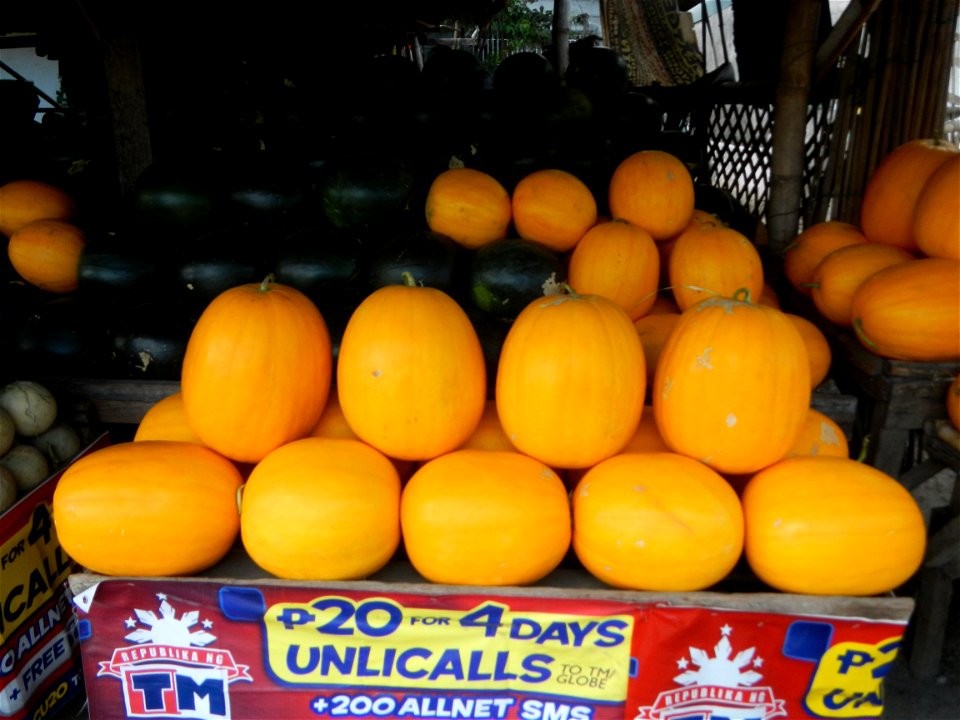 Citrullus lanatus Watermelons and cantaloupes or sweet melong in Barangay Santo Domingo, Mexico, Pampanga connected by the Rotonda Santo Domingo, Mexico, Pampanga Agricultural Monument, to Santo Domin