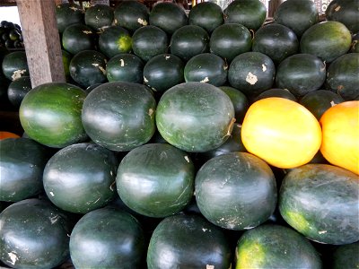 Citrullus lanatus Watermelons and cantaloupes or sweet melong in Barangay Santo Domingo, Mexico, Pampanga connected by the Rotonda Santo Domingo, Mexico, Pampanga Agricultural Monument, to Santo Domin
