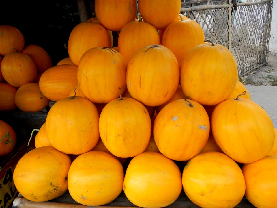 Citrullus lanatus Watermelons and cantaloupes or sweet melong in Barangay Santo Domingo, Mexico, Pampanga connected by the Rotonda Santo Domingo, Mexico, Pampanga Agricultural Monument, to Santo Domin