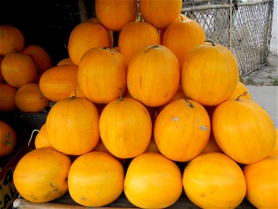Citrullus lanatus Watermelons and cantaloupes or sweet melong in Barangay Santo Domingo, Mexico, Pampanga connected by the Rotonda Santo Domingo, Mexico, Pampanga Agricultural Monument, to Santo Domin