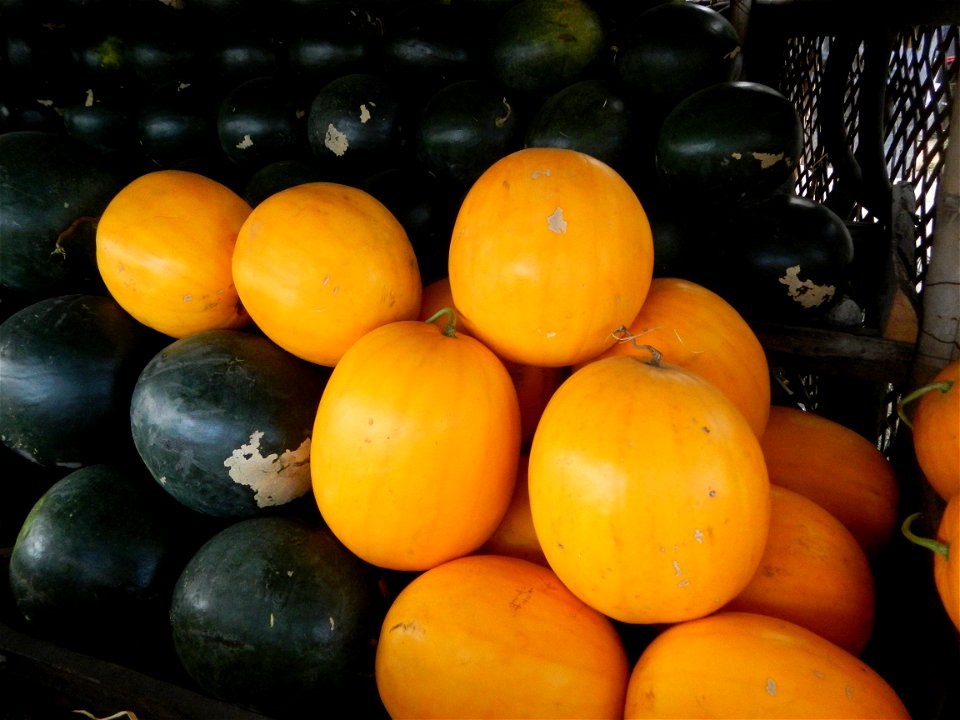 Citrullus lanatus Watermelons and cantaloupes or sweet melong in Barangay Santo Domingo, Mexico, Pampanga connected by the Rotonda Santo Domingo, Mexico, Pampanga Agricultural Monument, to Santo Domin