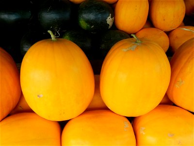 Citrullus lanatus Watermelons and cantaloupes or sweet melong in Barangay Santo Domingo, Mexico, Pampanga connected by the Rotonda Santo Domingo, Mexico, Pampanga Agricultural Monument, to Santo Domin