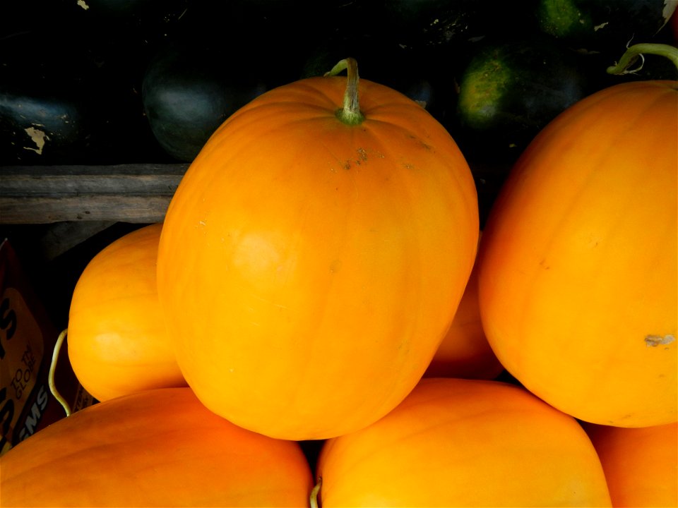 Citrullus lanatus Watermelons and cantaloupes or sweet melong in Barangay Santo Domingo, Mexico, Pampanga connected by the Rotonda Santo Domingo, Mexico, Pampanga Agricultural Monument, to Santo Domin