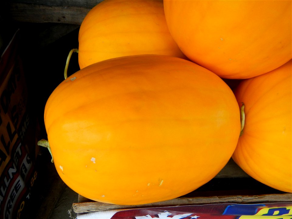 Citrullus lanatus Watermelons and cantaloupes or sweet melong in Barangay Santo Domingo, Mexico, Pampanga connected by the Rotonda Santo Domingo, Mexico, Pampanga Agricultural Monument, to Santo Domin