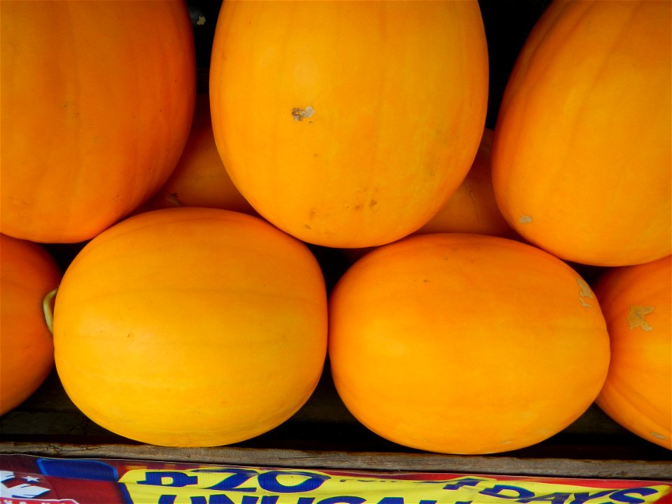 Citrullus lanatus Watermelons and cantaloupes or sweet melong in Barangay Santo Domingo, Mexico, Pampanga connected by the Rotonda Santo Domingo, Mexico, Pampanga Agricultural Monument, to Santo Domin