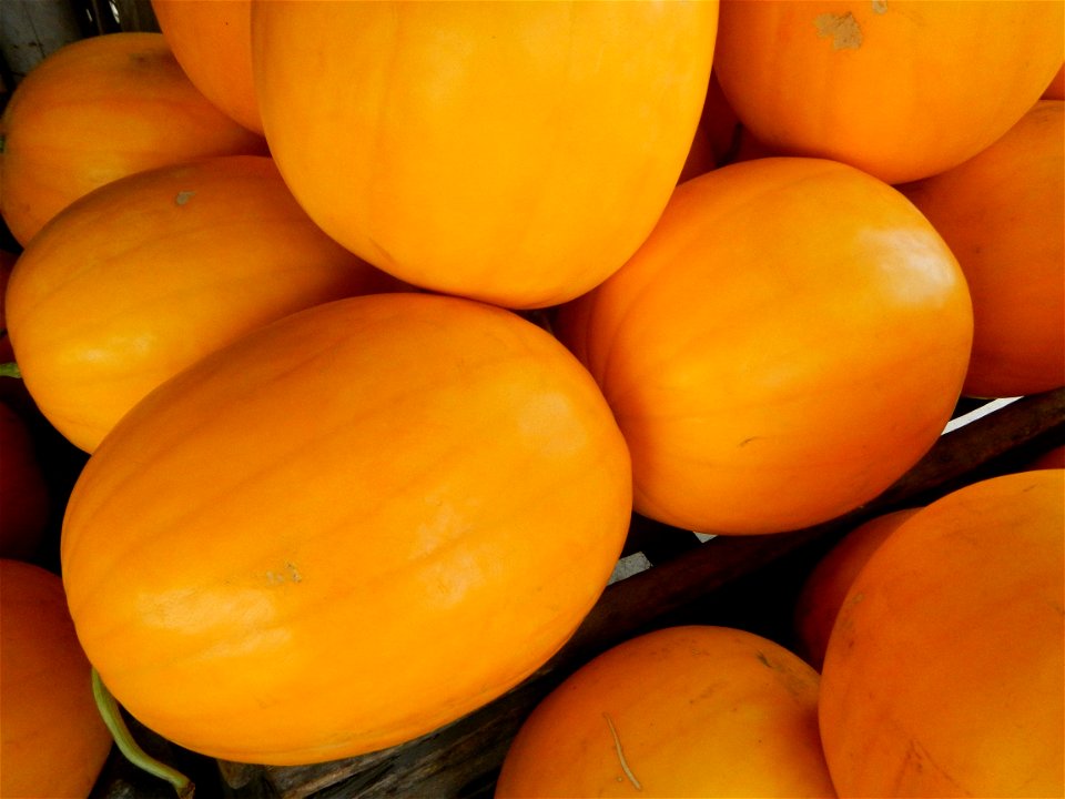 Citrullus lanatus Watermelons and cantaloupes or sweet melong in Barangay Santo Domingo, Mexico, Pampanga connected by the Rotonda Santo Domingo, Mexico, Pampanga Agricultural Monument, to Santo Domin