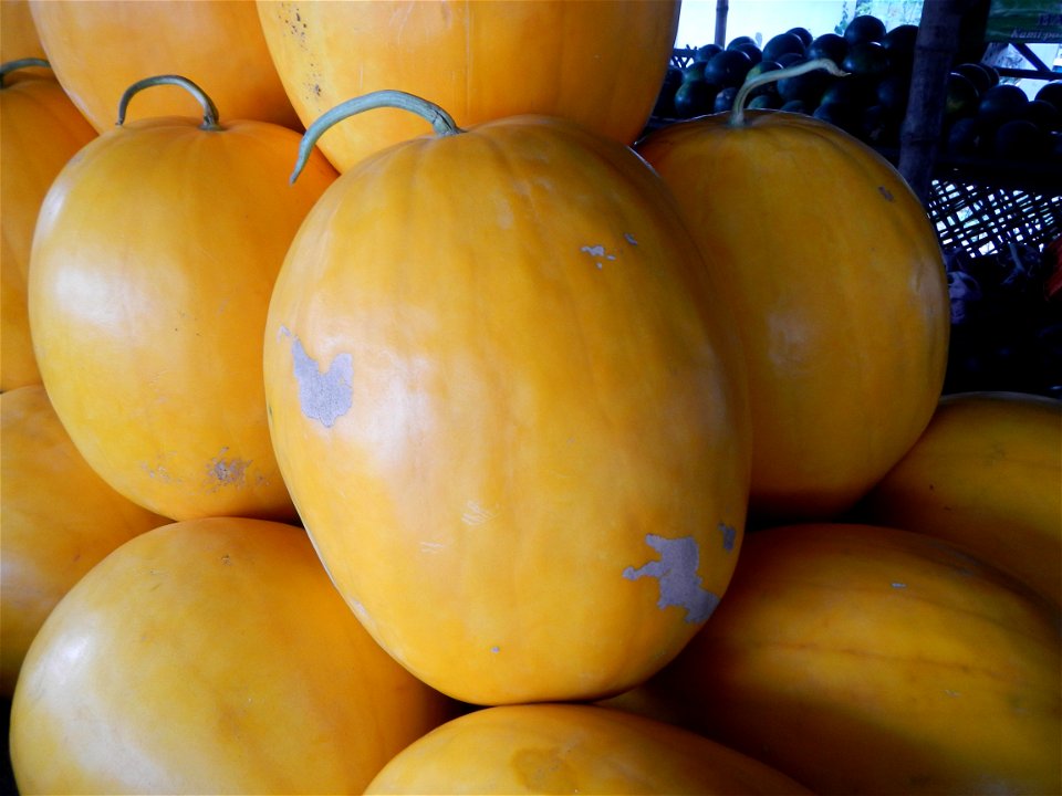 Citrullus lanatus Watermelons and cantaloupes or sweet melong in Barangay Santo Domingo, Mexico, Pampanga connected by the Rotonda Santo Domingo, Mexico, Pampanga Agricultural Monument, to Santo Domin