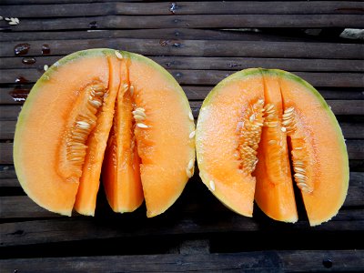 Citrullus lanatus Watermelons and cantaloupes or sweet melong in Barangay Santo Domingo, Mexico, Pampanga connected by the Rotonda Santo Domingo, Mexico, Pampanga Agricultural Monument, to Santo Domin