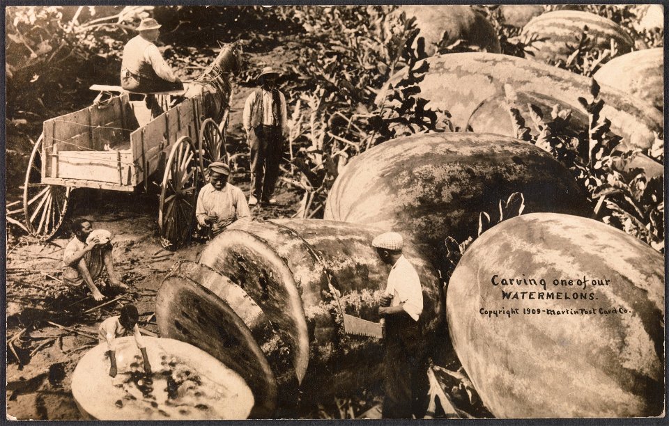 Postcard; Photographs