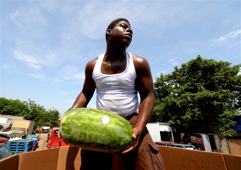 Watermelons get loaded onto a truck at the Arabers stable in Baltimore, MD., June 18, 2014. Street Arabers have been vending fruits and goods for over 75 years in the Baltimore area.