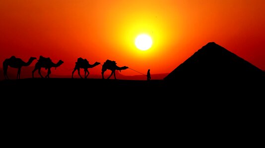 Bedoin pyramid dessert