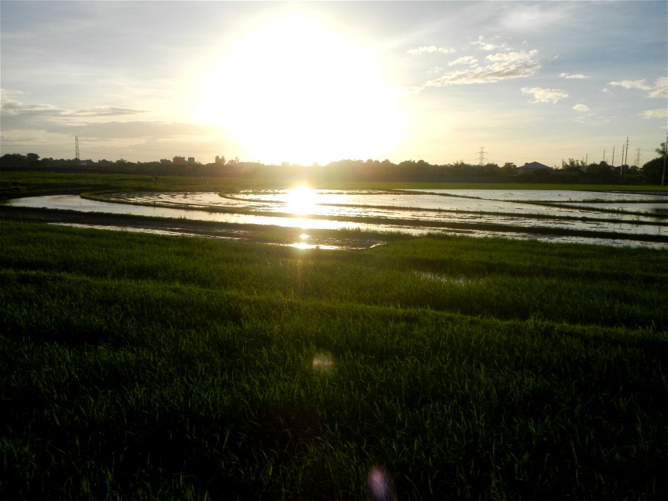 Paddy fields and vegetable (Capsicum annuum var. longum, Okra, Momordica charantia and Vigna unguiculata subsp. sesquipedalis) plantations in Upig - Bagong Barrio, San Ildefonso, Bulacan Barangays Upi