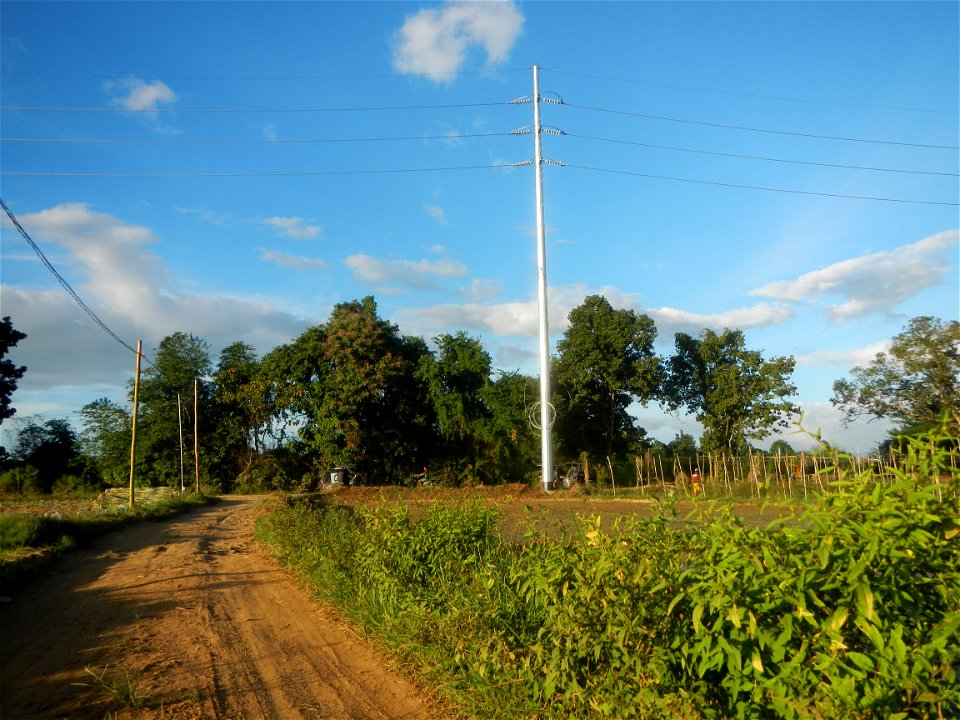 Paddy fields and vegetable (Capsicum annuum var. longum, Okra, Momordica charantia and Vigna unguiculata subsp. sesquipedalis) plantations in Upig - Bagong Barrio, San Ildefonso, Bulacan Barangays Upi