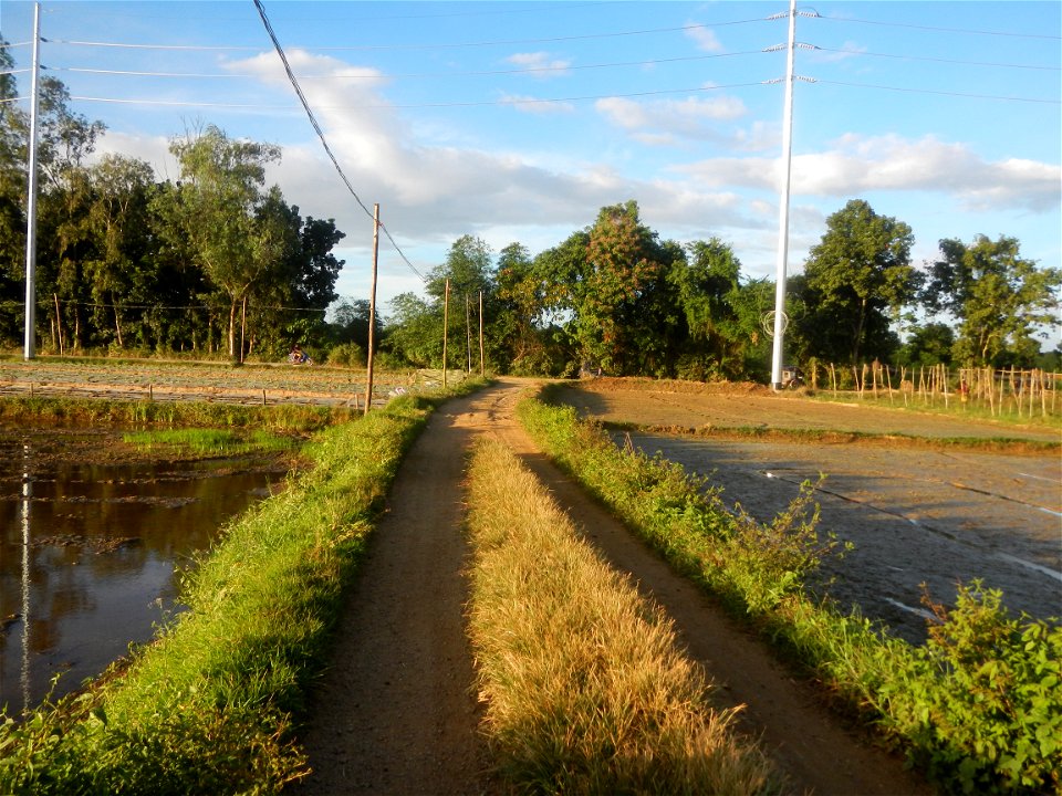 Paddy fields and vegetable (Capsicum annuum var. longum, Okra, Momordica charantia and Vigna unguiculata subsp. sesquipedalis) plantations in Upig - Bagong Barrio, San Ildefonso, Bulacan Barangays Upi
