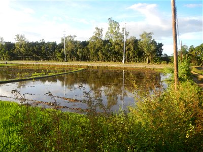 Paddy fields and vegetable (Capsicum annuum var. longum, Okra, Momordica charantia and Vigna unguiculata subsp. sesquipedalis) plantations in Upig - Bagong Barrio, San Ildefonso, Bulacan Barangays Upi