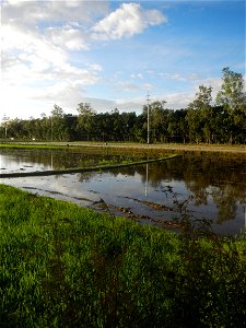 Paddy fields and vegetable (Capsicum annuum var. longum, Okra, Momordica charantia and Vigna unguiculata subsp. sesquipedalis) plantations in Upig - Bagong Barrio, San Ildefonso, Bulacan Barangays Upi
