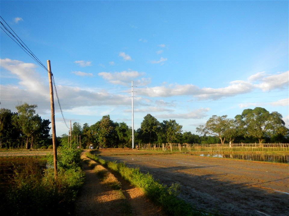 Paddy fields and vegetable (Capsicum annuum var. longum, Okra, Momordica charantia and Vigna unguiculata subsp. sesquipedalis) plantations in Upig - Bagong Barrio, San Ildefonso, Bulacan Barangays Upi