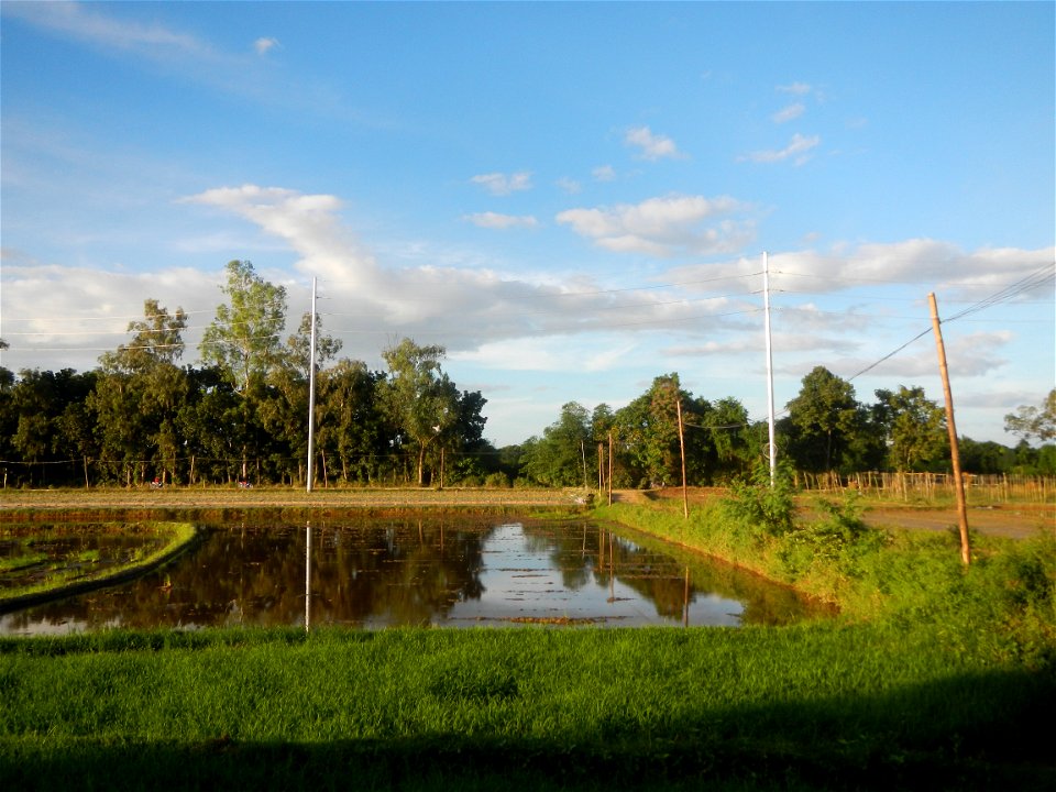 Paddy fields and vegetable (Capsicum annuum var. longum, Okra, Momordica charantia and Vigna unguiculata subsp. sesquipedalis) plantations in Upig - Bagong Barrio, San Ildefonso, Bulacan Barangays Upi