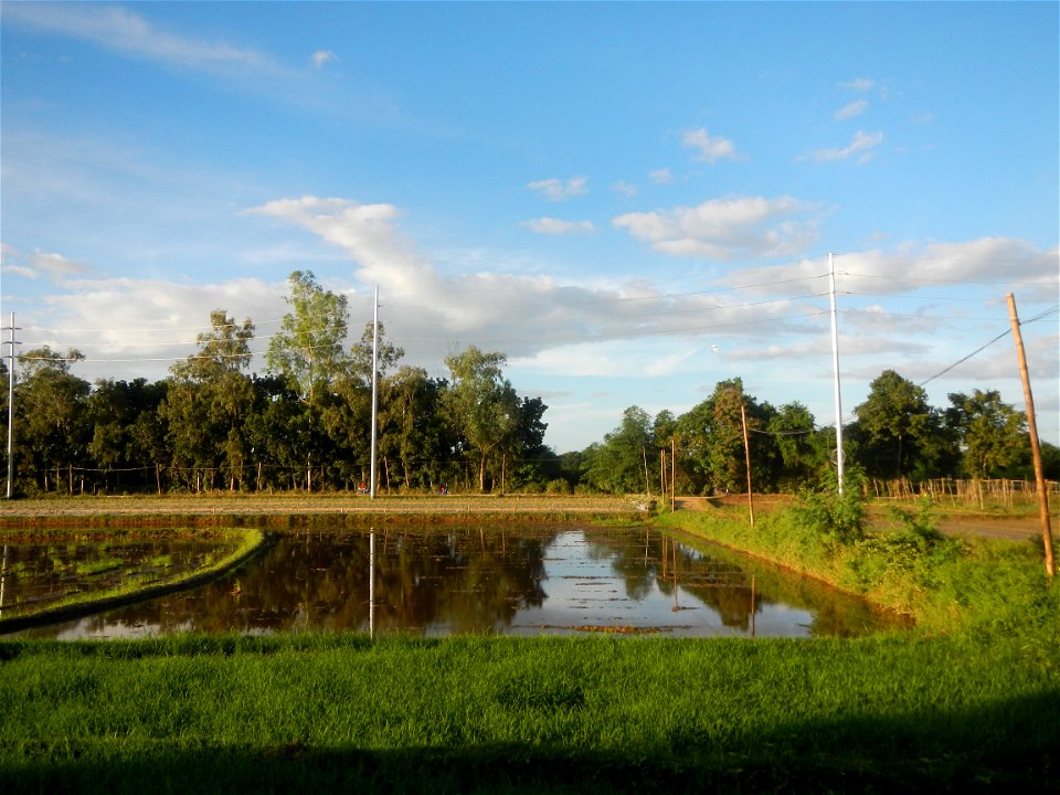 Paddy fields and vegetable (Capsicum annuum var. longum, Okra, Momordica charantia and Vigna unguiculata subsp. sesquipedalis) plantations in Upig - Bagong Barrio, San Ildefonso, Bulacan Barangays Upi