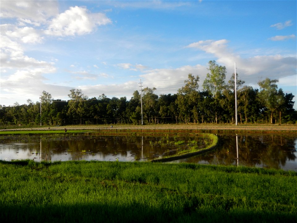 Paddy fields and vegetable (Capsicum annuum var. longum, Okra, Momordica charantia and Vigna unguiculata subsp. sesquipedalis) plantations in Upig - Bagong Barrio, San Ildefonso, Bulacan Barangays Upi