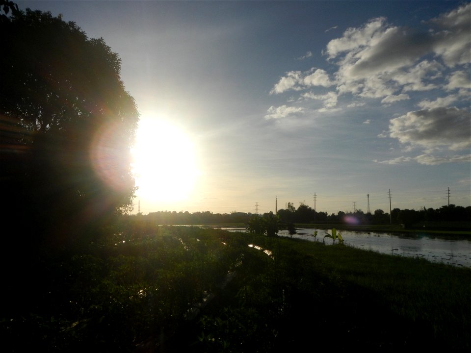 Paddy fields and vegetable (Capsicum annuum var. longum, Okra, Momordica charantia and Vigna unguiculata subsp. sesquipedalis) plantations in Upig - Bagong Barrio, San Ildefonso, Bulacan Barangays Upi