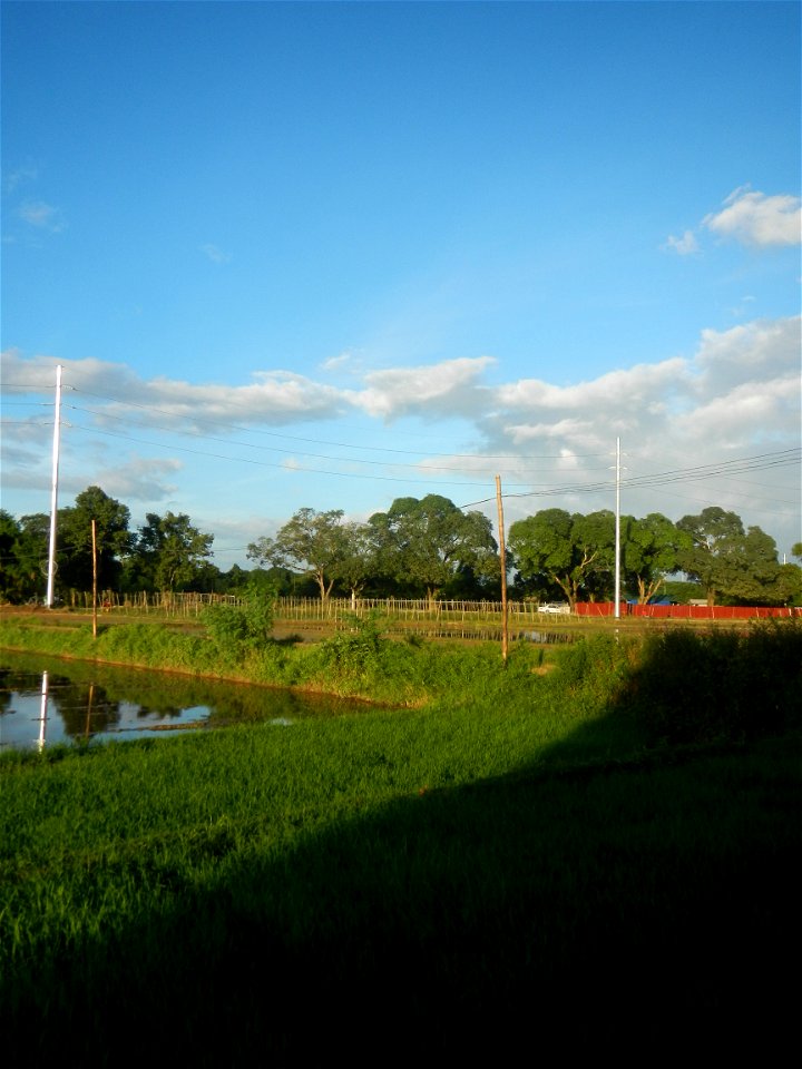 Paddy fields and vegetable (Capsicum annuum var. longum, Okra, Momordica charantia and Vigna unguiculata subsp. sesquipedalis) plantations in Upig - Bagong Barrio, San Ildefonso, Bulacan Barangays Upi