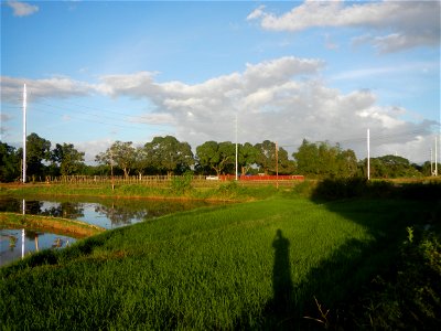 Paddy fields and vegetable (Capsicum annuum var. longum, Okra, Momordica charantia and Vigna unguiculata subsp. sesquipedalis) plantations in Upig - Bagong Barrio, San Ildefonso, Bulacan Barangays Upi