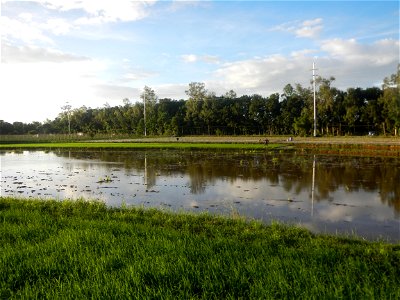 Paddy fields and vegetable (Capsicum annuum var. longum, Okra, Momordica charantia and Vigna unguiculata subsp. sesquipedalis) plantations in Upig - Bagong Barrio, San Ildefonso, Bulacan Barangays Upi