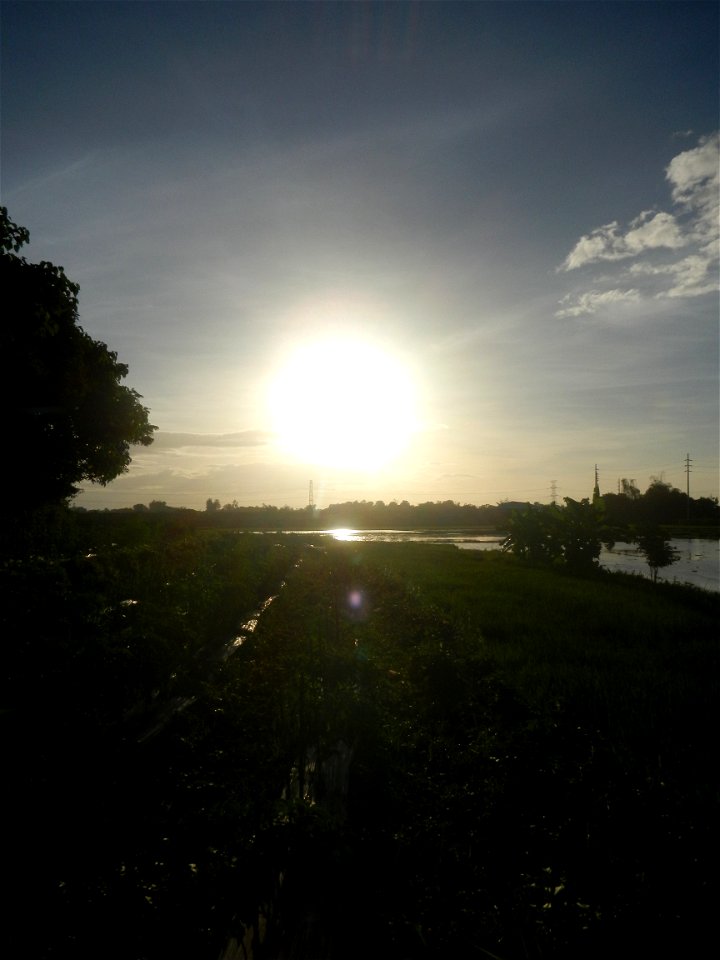 Paddy fields and vegetable (Capsicum annuum var. longum, Okra, Momordica charantia and Vigna unguiculata subsp. sesquipedalis) plantations in Upig - Bagong Barrio, San Ildefonso, Bulacan Barangays Upi