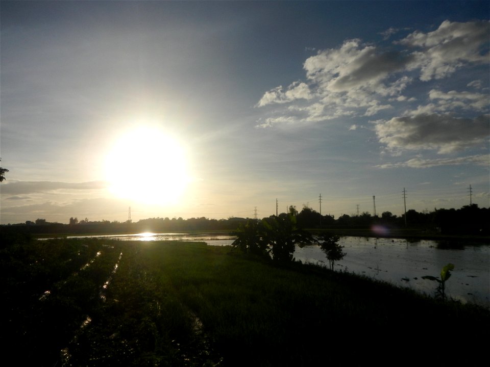 Paddy fields and vegetable (Capsicum annuum var. longum, Okra, Momordica charantia and Vigna unguiculata subsp. sesquipedalis) plantations in Upig - Bagong Barrio, San Ildefonso, Bulacan Barangays Upi