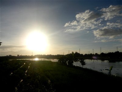 Paddy fields and vegetable (Capsicum annuum var. longum, Okra, Momordica charantia and Vigna unguiculata subsp. sesquipedalis) plantations in Upig - Bagong Barrio, San Ildefonso, Bulacan Barangays Upi