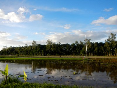 Paddy fields and vegetable (Capsicum annuum var. longum, Okra, Momordica charantia and Vigna unguiculata subsp. sesquipedalis) plantations in Upig - Bagong Barrio, San Ildefonso, Bulacan Barangays Upi
