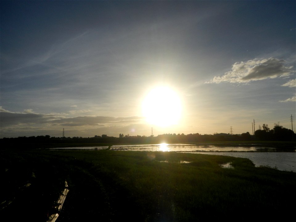 Paddy fields and vegetable (Capsicum annuum var. longum, Okra, Momordica charantia and Vigna unguiculata subsp. sesquipedalis) plantations in Upig - Bagong Barrio, San Ildefonso, Bulacan Barangays Upi