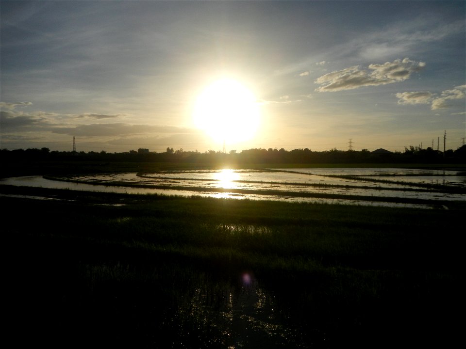 Paddy fields and vegetable (Capsicum annuum var. longum, Okra, Momordica charantia and Vigna unguiculata subsp. sesquipedalis) plantations in Upig - Bagong Barrio, San Ildefonso, Bulacan Barangays Upi