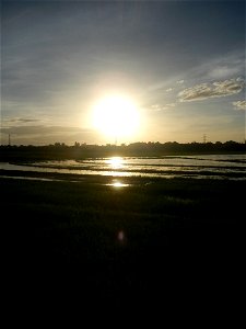 Paddy fields and vegetable (Capsicum annuum var. longum, Okra, Momordica charantia and Vigna unguiculata subsp. sesquipedalis) plantations in Upig - Bagong Barrio, San Ildefonso, Bulacan Barangays Upi