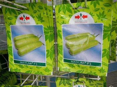 Philippine cuisine Bottle gourd Upo Cucurbitaceae in the Philippines (Cucurbita lagenaria-villosa Blanco) Bon Chon Hotdogs of the Philippines Bonchon Chicken Bonchon Chicken restaurants products in th