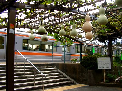 Calabash on railway platform (Kami-Ōi_Station)
