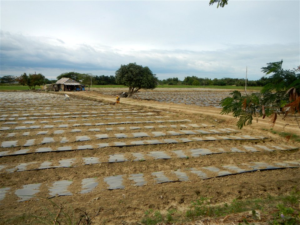 Welcome Road signs of Barangay Santa Cruz Pambilog, San Luis, Pampanga  (beside Santa Catalina, from Santa Cruz Poblacion and San Sebastian, San Luis, Pampanga Hall, Chapel and Elementary School and i