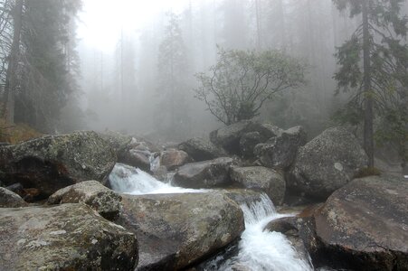 The stones wet landscape