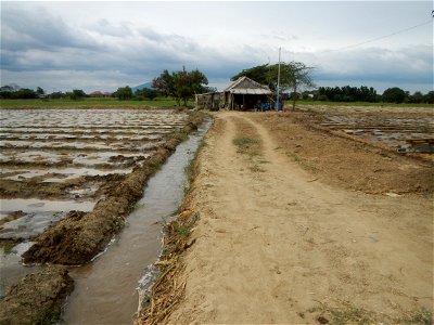 Cucumis melo cantaloupe group fields in the Philippines in Barangay Santa Cruz Pambilog, San Luis, Pampanga  (beside Santa Catalina, from Santa Cruz Poblacion and San Sebastian, San Luis, Pampanga Hal