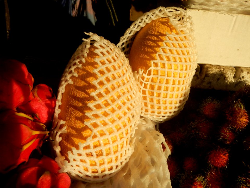 Cucumis melo Pitaya Hylocereus monacanthus Longan Avocado (Philippines) in Barangays Pagala 14°58'14"N   120°53'26"E Baliuag, Bulacan, Bulacan province (Note: Judge Florentino Floro, the owner, to rep