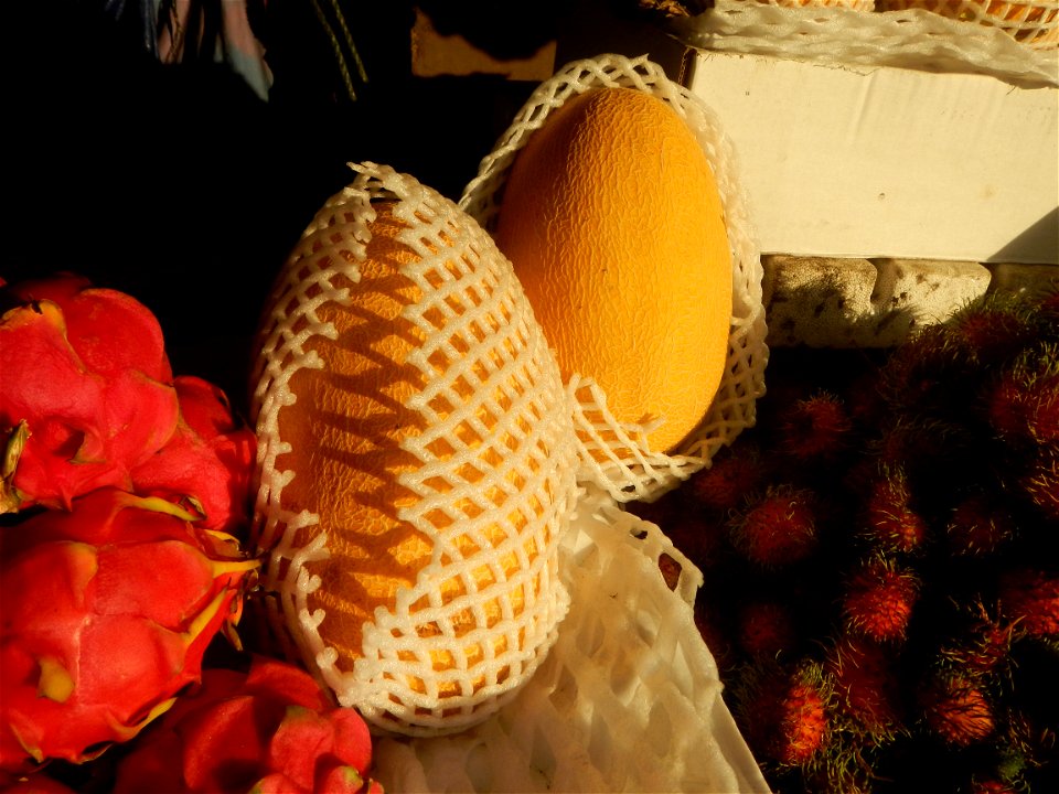Cucumis melo Pitaya Hylocereus monacanthus Longan Avocado (Philippines) in Barangays Pagala 14°58'14"N   120°53'26"E Baliuag, Bulacan, Bulacan province (Note: Judge Florentino Floro, the owner, to rep