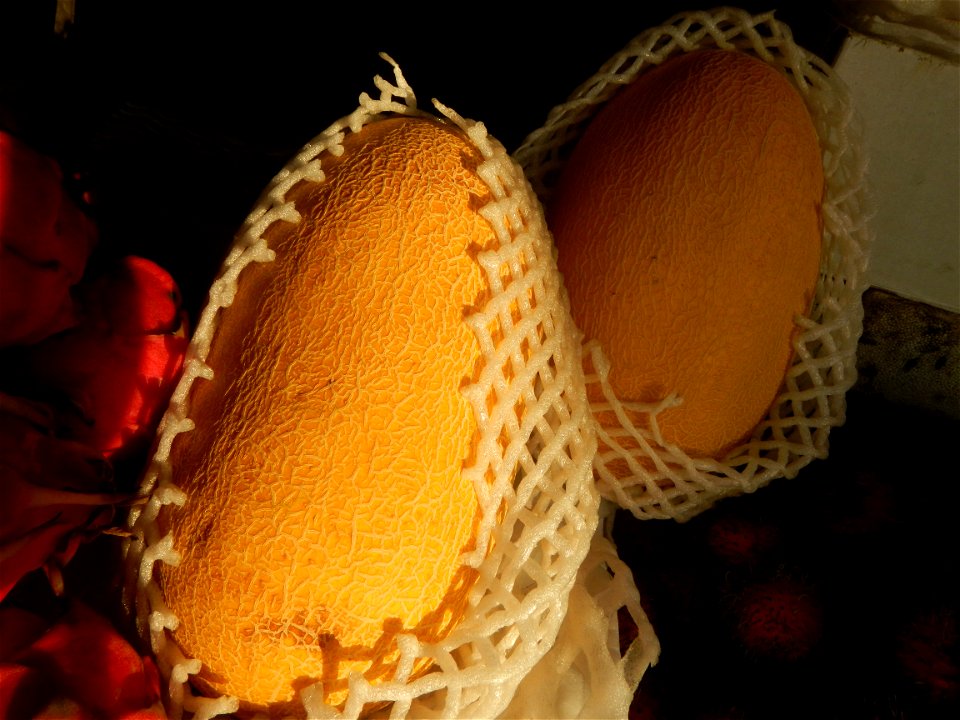 Cucumis melo Pitaya Hylocereus monacanthus Longan Avocado (Philippines) in Barangays Pagala 14°58'14"N   120°53'26"E Baliuag, Bulacan, Bulacan province (Note: Judge Florentino Floro, the owner, to rep