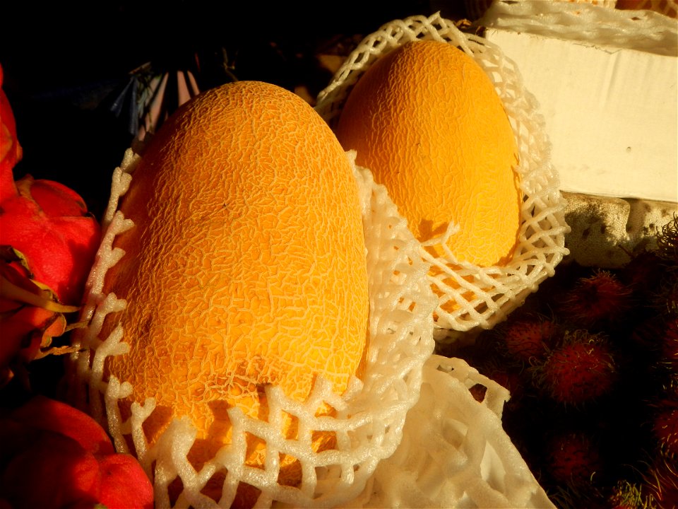 Cucumis melo Pitaya Hylocereus monacanthus Longan Avocado (Philippines) in Barangays Pagala 14°58'14"N   120°53'26"E Baliuag, Bulacan, Bulacan province (Note: Judge Florentino Floro, the owner, to rep