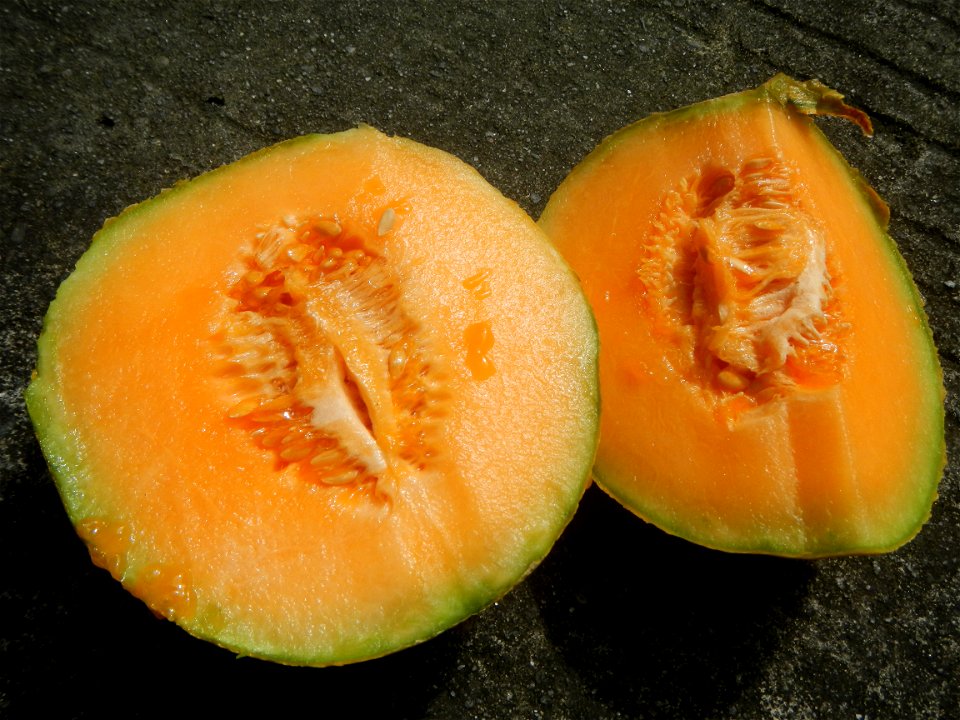 BreadTalk in the Philippines and Cucumis melo cantaloupe group fields in the Philippines all taken in Barangay Poblacion 14°57'17"N   120°54'2"E Baliuag, Bulacan, Bulacan (accessed from Maharlika High